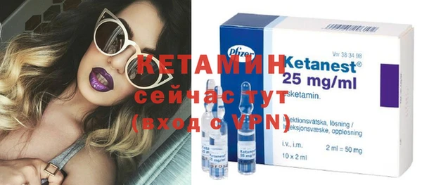 индика Пенза
