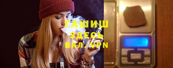 индика Пенза