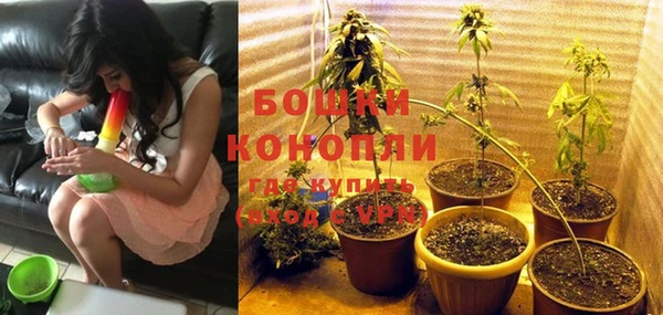 индика Пенза