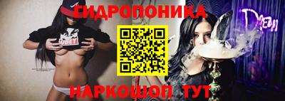 гашик Волжск