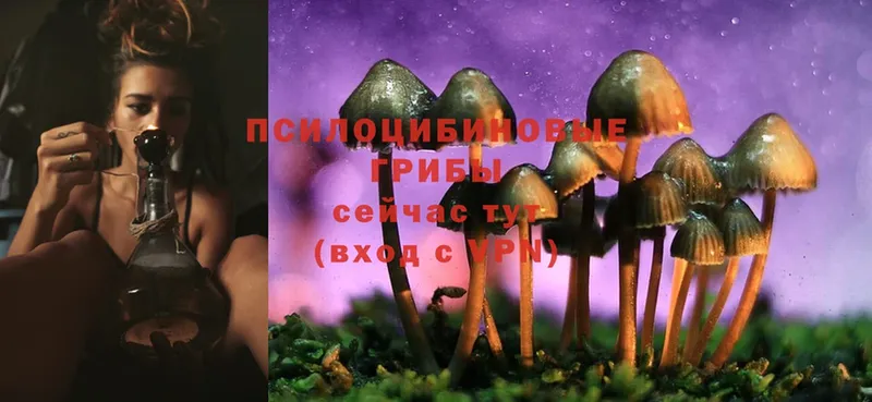 Галлюциногенные грибы MAGIC MUSHROOMS  где продают   MEGA ссылки  Югорск 