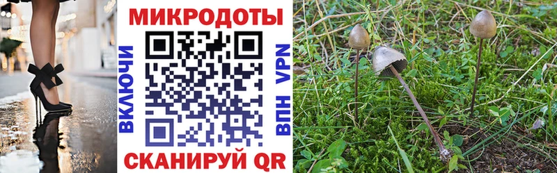 Галлюциногенные грибы Magic Shrooms  Югорск 