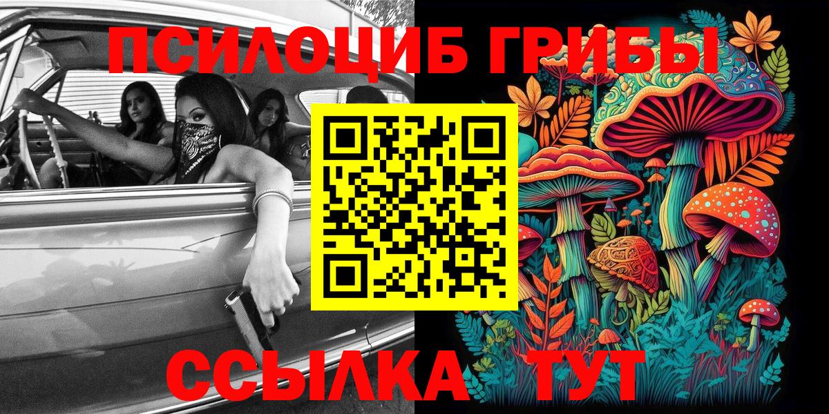 Галлюциногенные грибы мухоморы  Псилоцибиновые грибы ЛСД  где купить наркоту  Югорск 